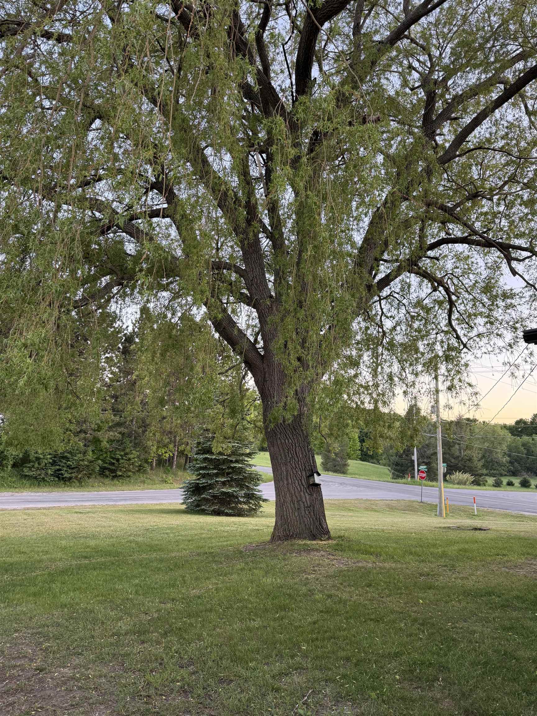 7981 South Maple City Road Maple City, MI 49664 - Photo 37 of 44
