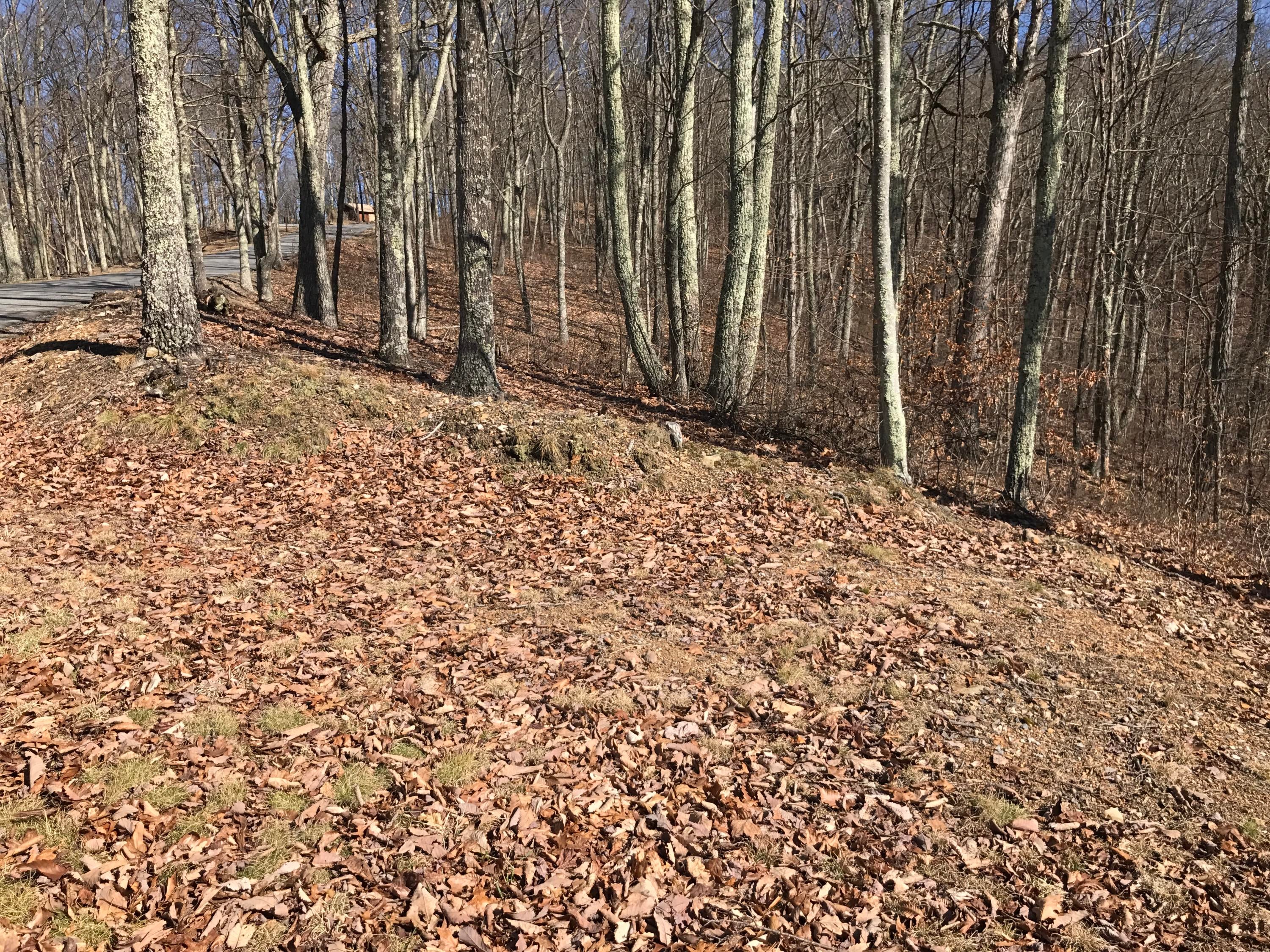 Lot 39 Wildwood Ridge Lindside, WV 24951 - Photo 5 of 24 Gallery Image 5