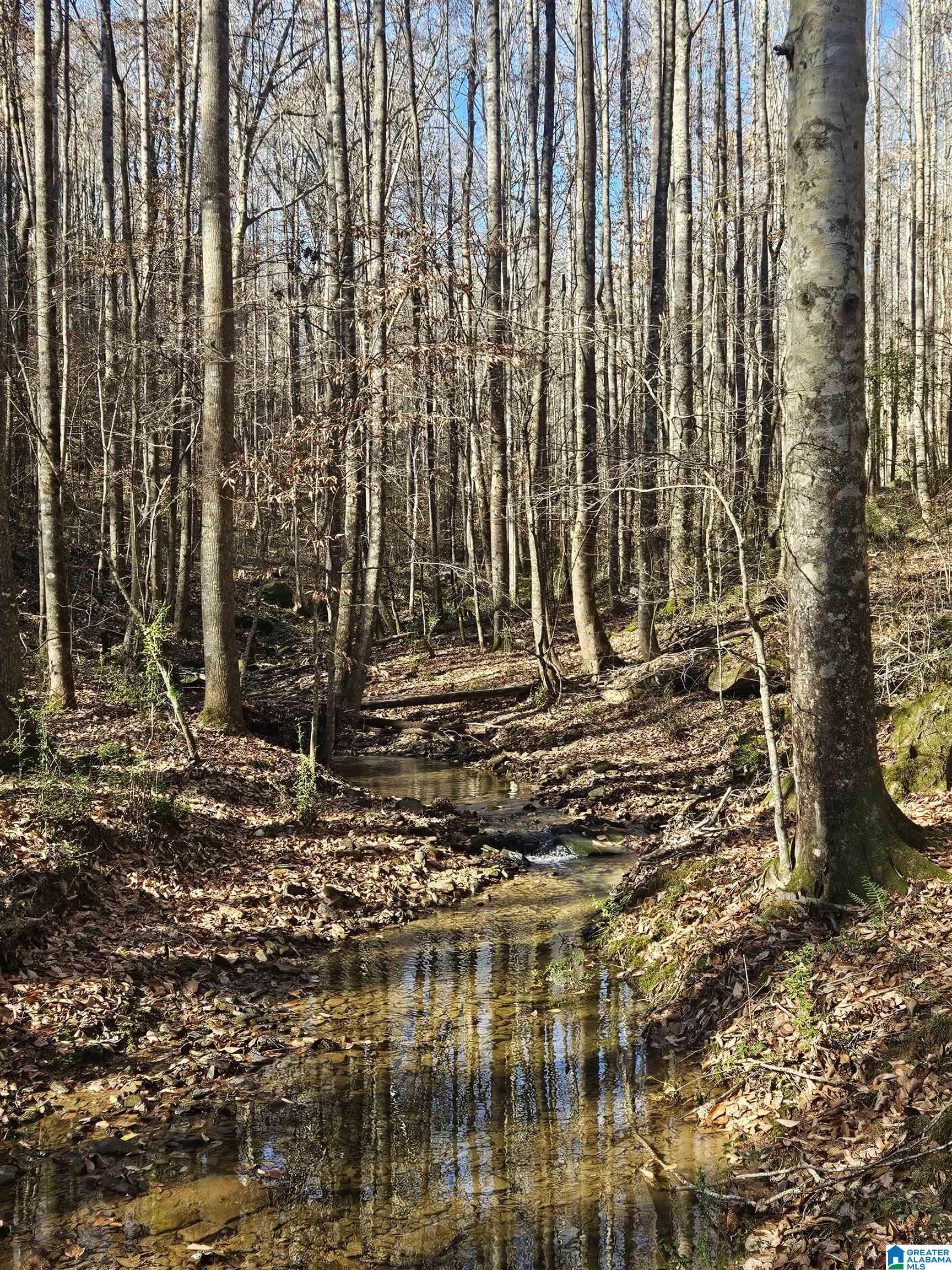 682 County Road 832 Logan, AL 35098 - Photo 6 of 48