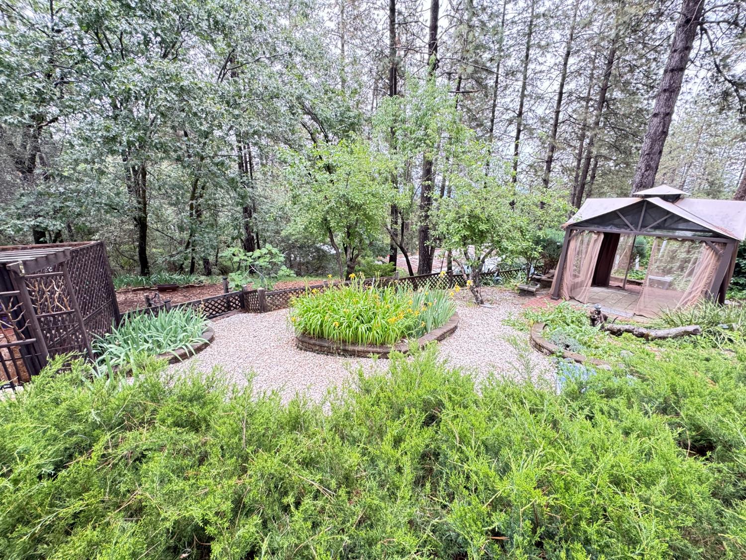 593 West Dundee Court Applegate, CA 95703 - Photo 38 of 42