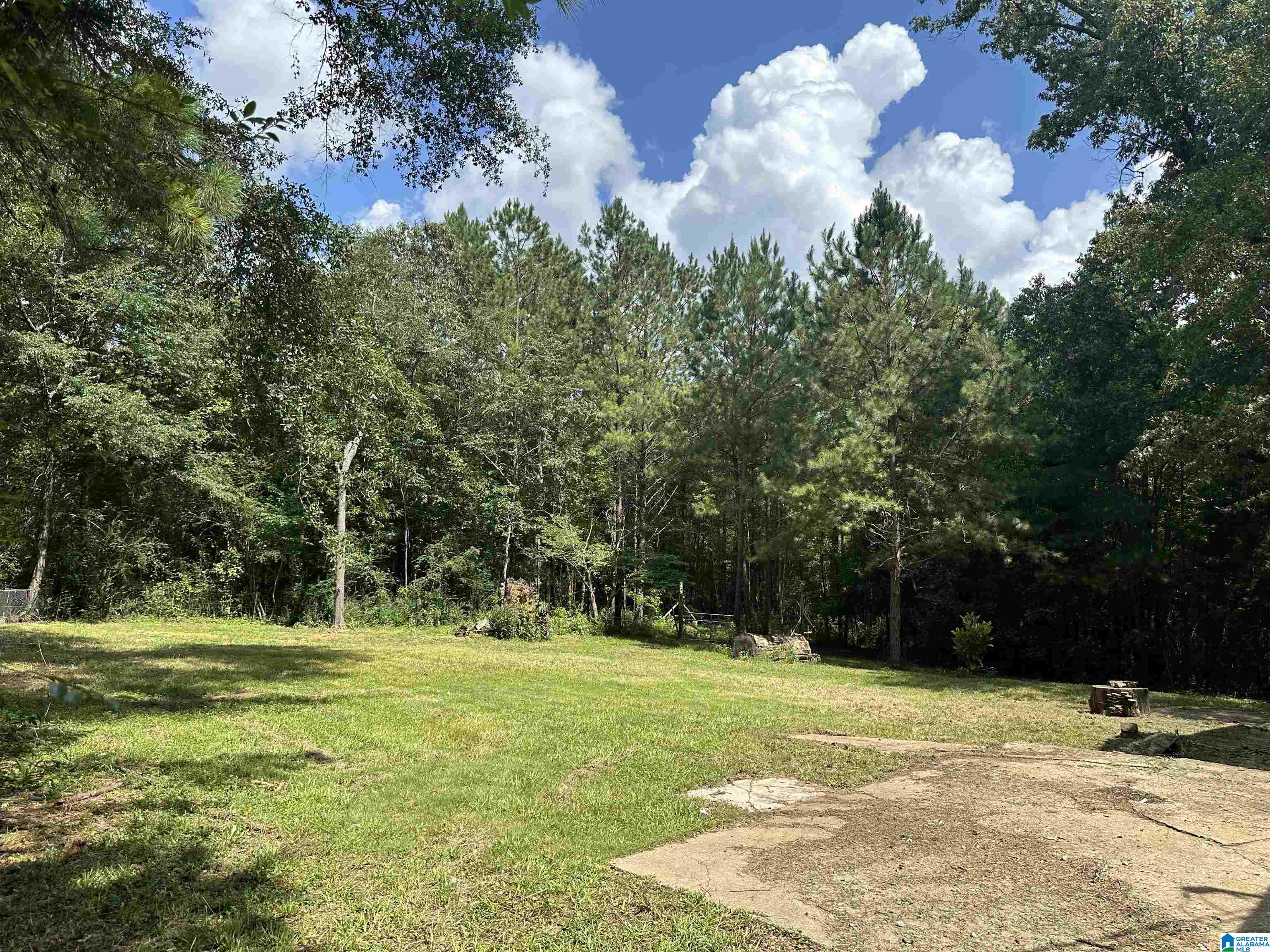 260 Sun Valley Circle Sterrett, AL 35147 - Photo 6 of 15