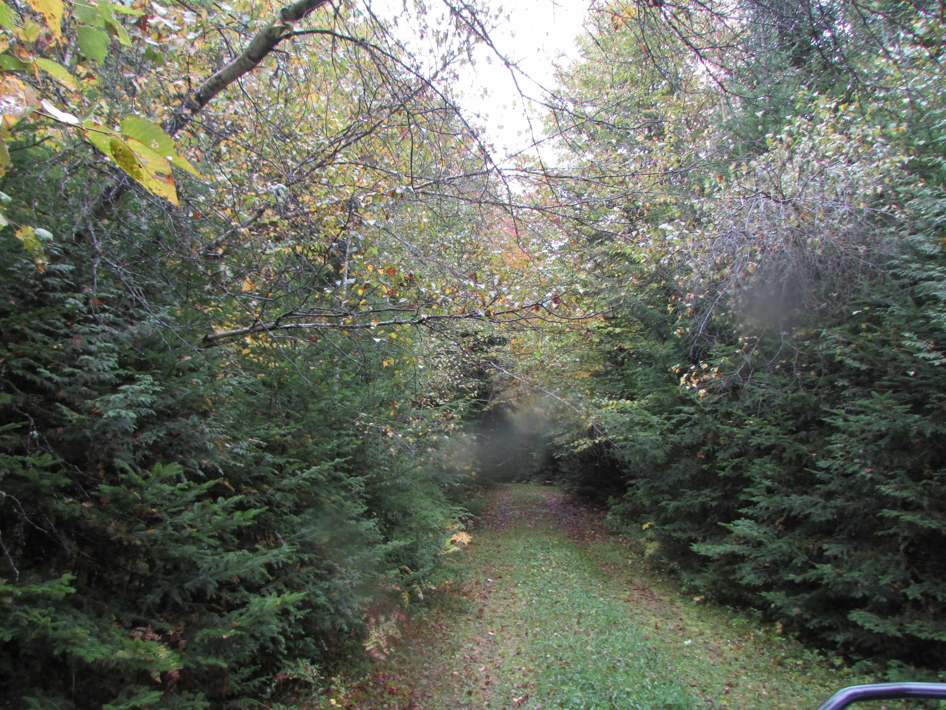 Nichols Pond Road Hardwick, VT 05843 - Photo 18 of 21 Gallery Image 18