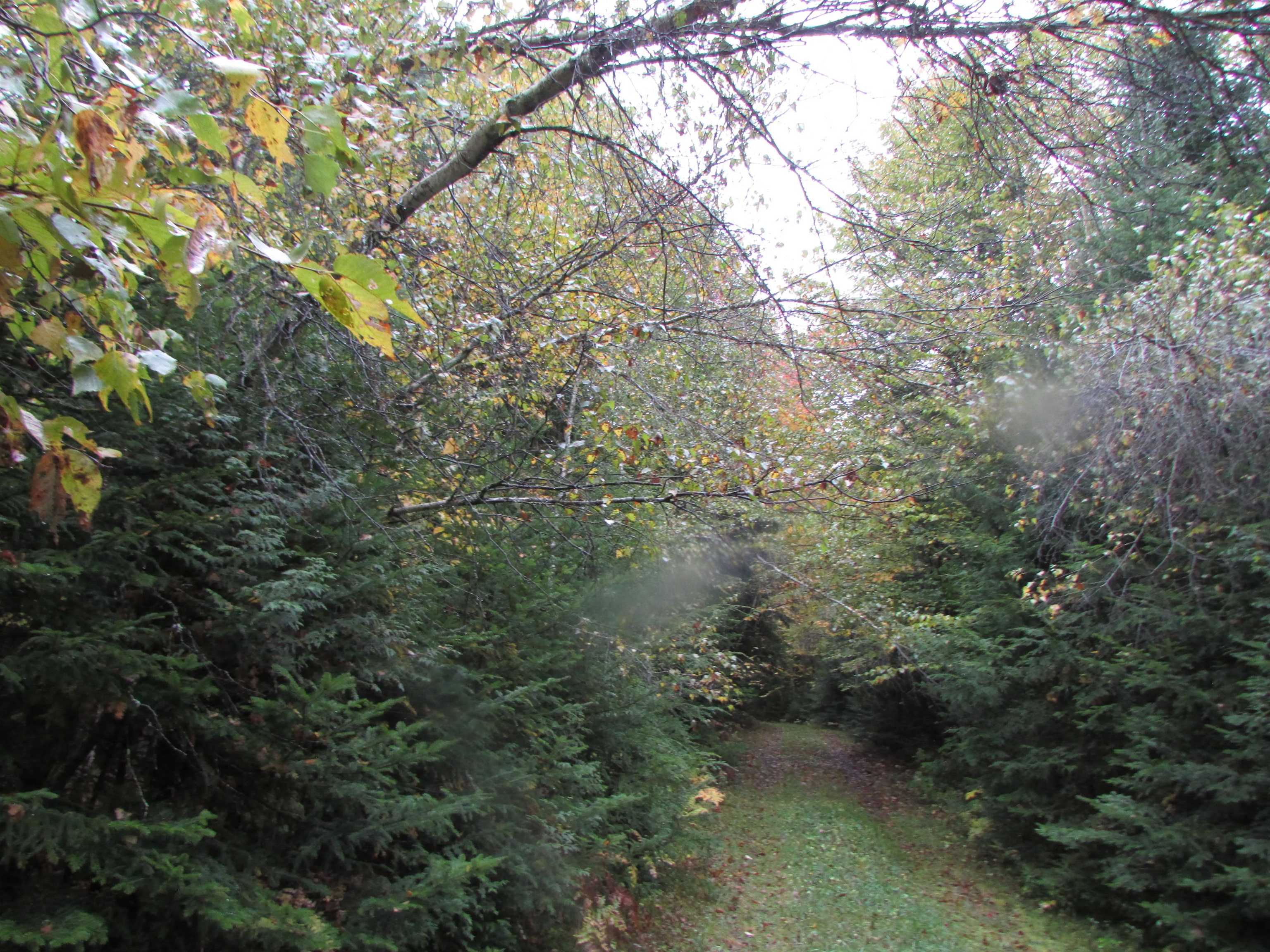 Nichols Pond Road Hardwick, VT 05843 - Photo 19 of 21 Gallery Image 19