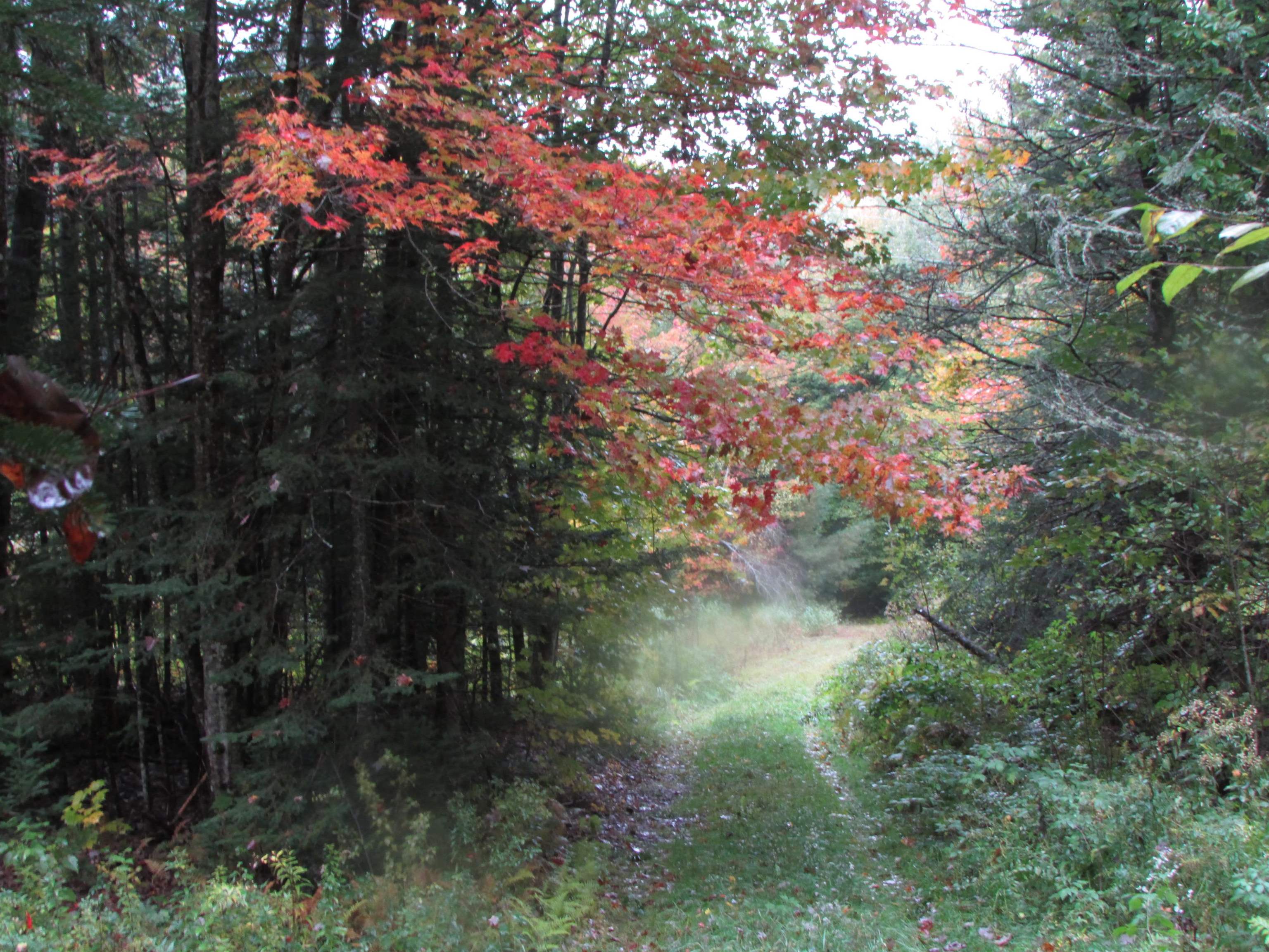 Nichols Pond Road Hardwick, VT 05843 - Photo 21 of 21 Gallery Image 21