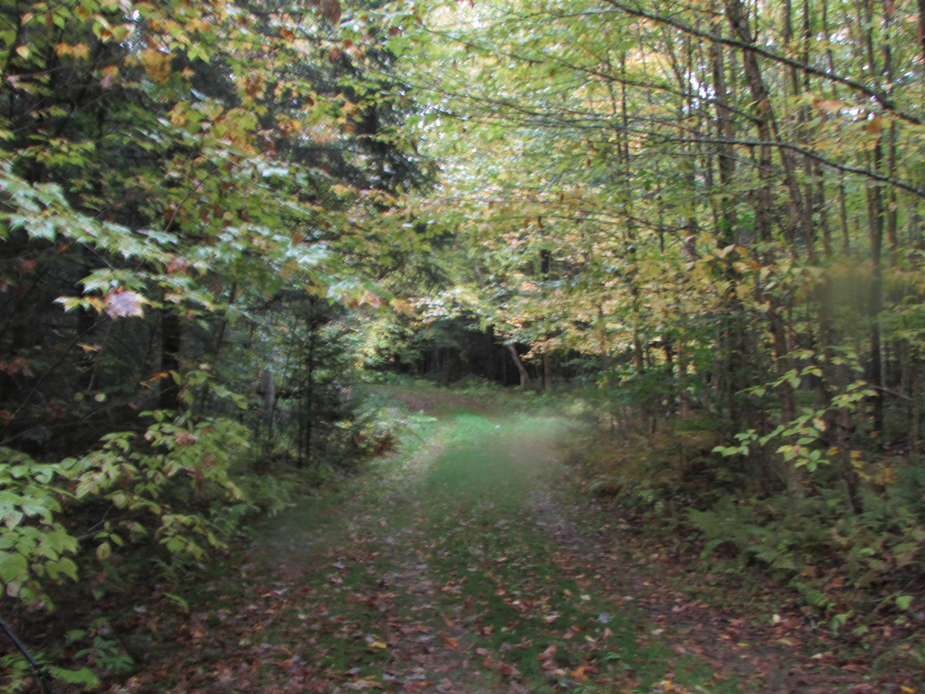 Nichols Pond Road Hardwick, VT 05843 - Photo 10 of 21 Gallery Image 10