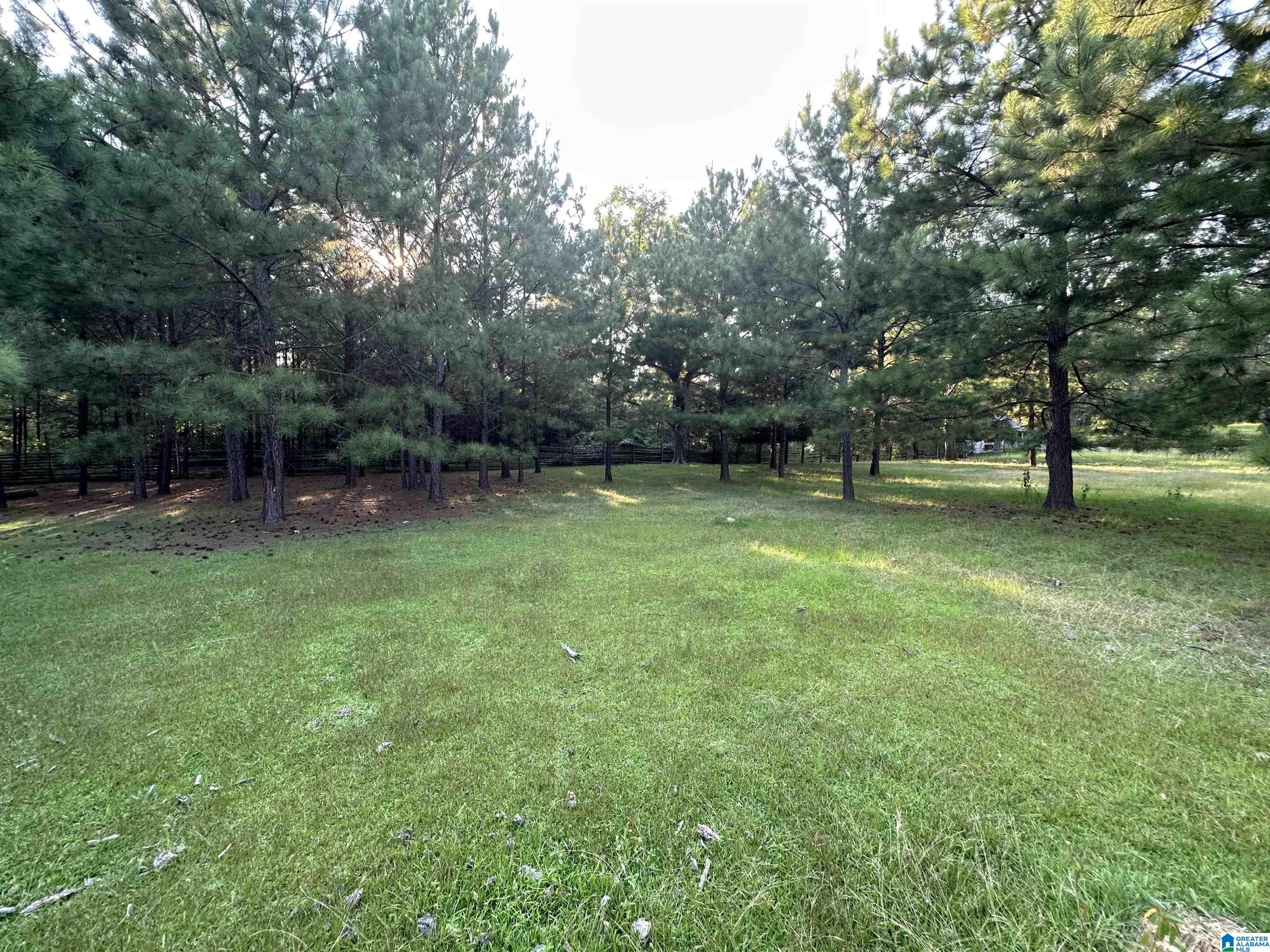 0 Honeycut Road Randolph, AL 36792 - Photo 13 of 29