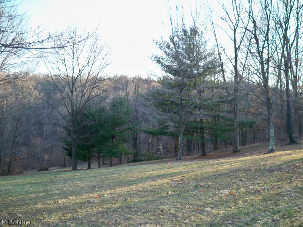 3699 Tabor Ridge Road Northeast Mineral City, OH 44656 - Photo 10 of 11 Gallery Image 10