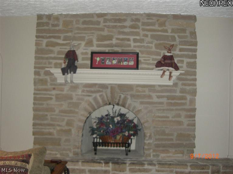 8856 Knauf Road Canfield, OH 44406 - Photo 12 of 23 Gallery Image 12