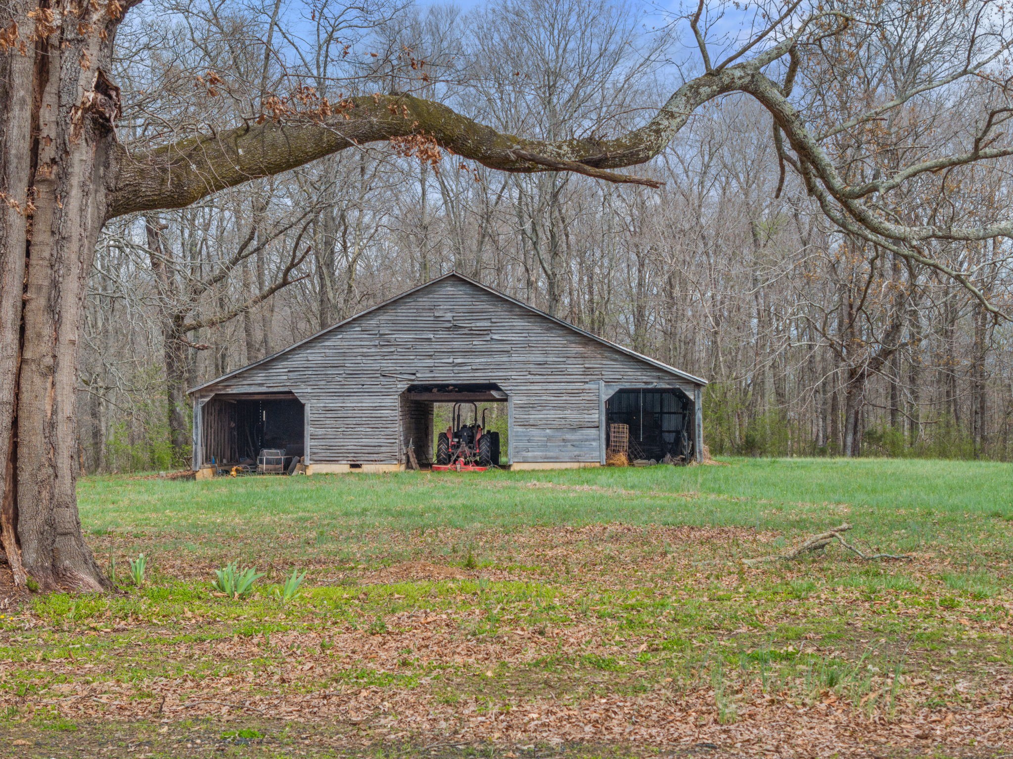 11051 Highway 64 Lexington, AL 35648 - Photo 23 of 44 a house with trees in the background