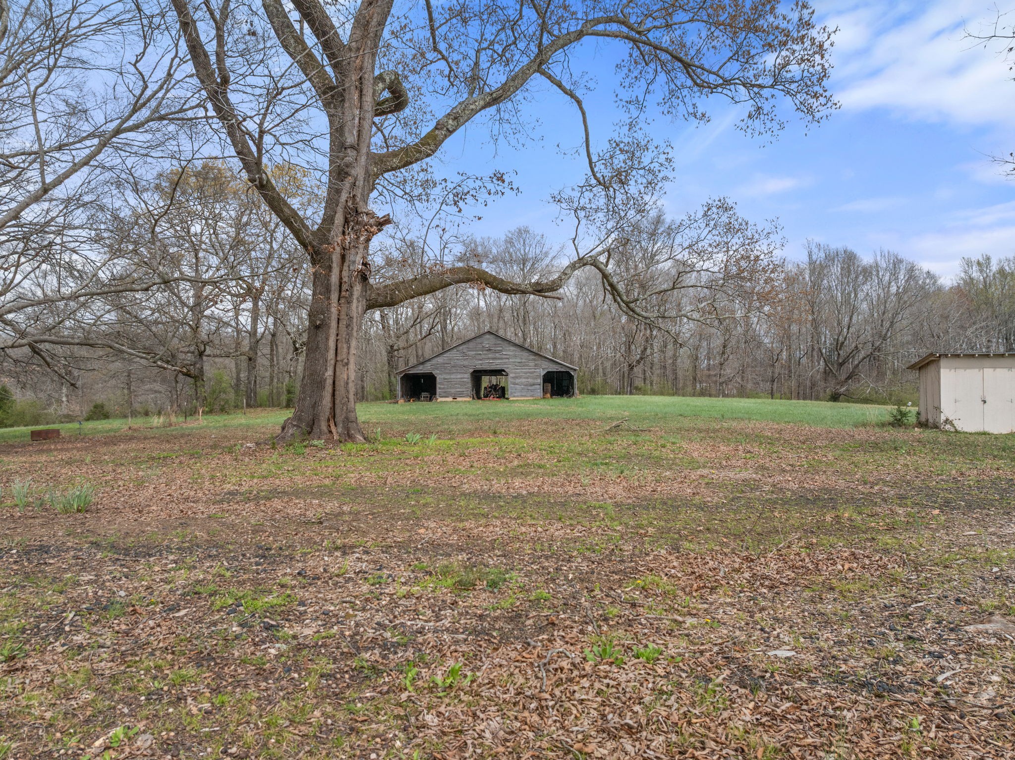 11051 Highway 64 Lexington, AL 35648 - Photo 24 of 44 a view of a yard with a house