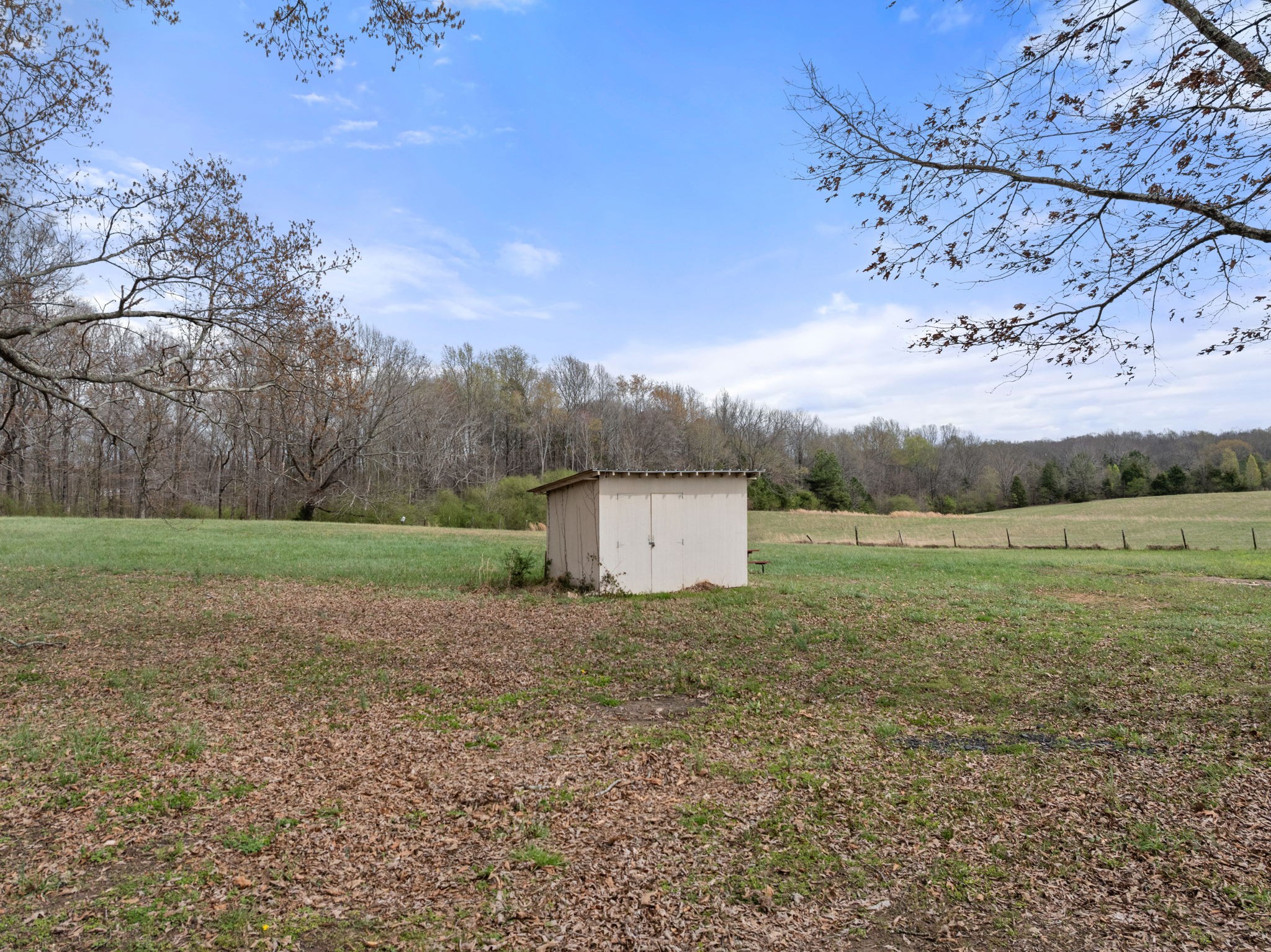 11051 Highway 64 Lexington, AL 35648 - Photo 27 of 44 a view of a big yard with a house