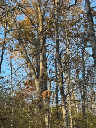 $28,000 | 0 Hartford Circle, Lawrenceburg, IN 47025