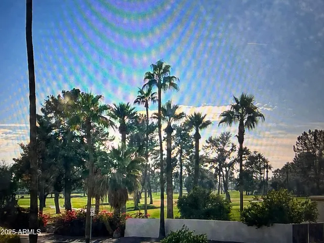 a view of outdoor space with palm trees