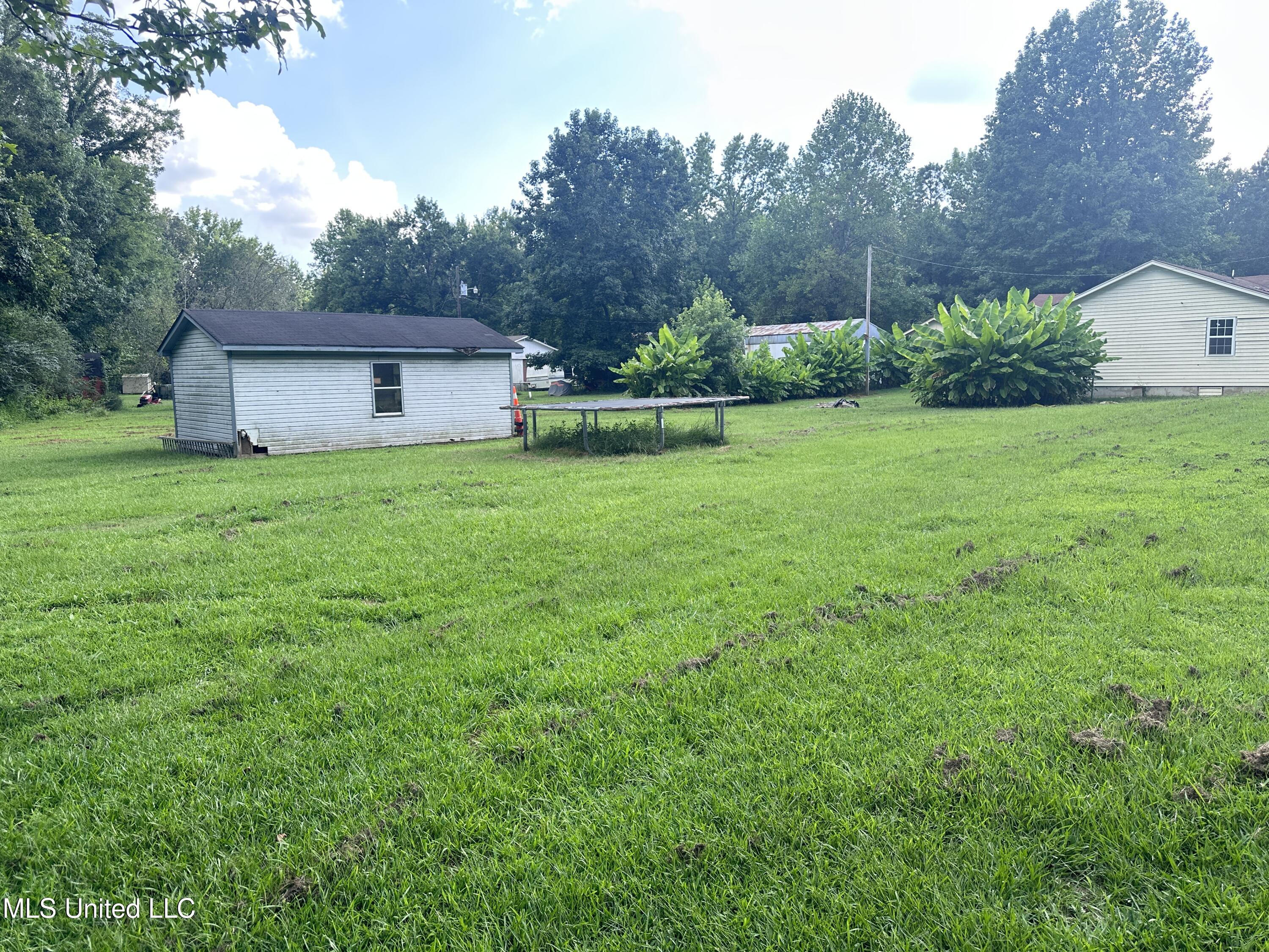 1981 Poagville Road Coldwater, MS 38618 - Photo 5 of 19 IMG_8823