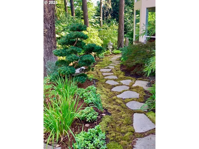 a garden with trees in front of it