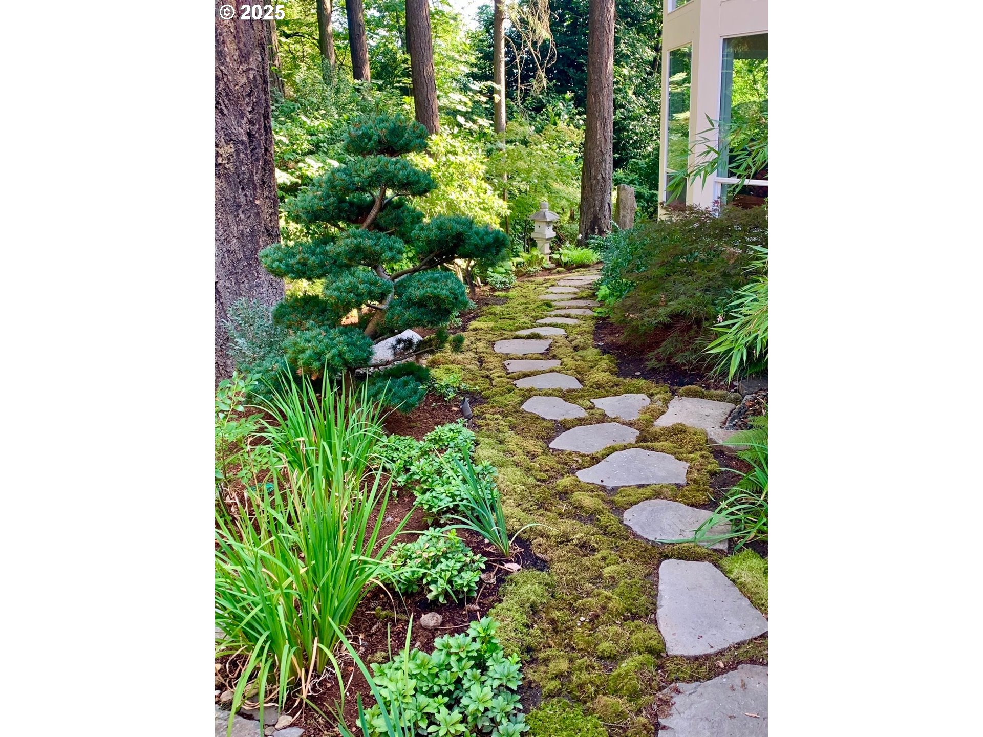 1621 Southeast McBrod Avenue Milwaukie, OR 97222 - Photo 37 of 41 a view of a garden with plants and flowers