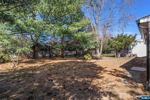 a view of a tree in the middle of a yard