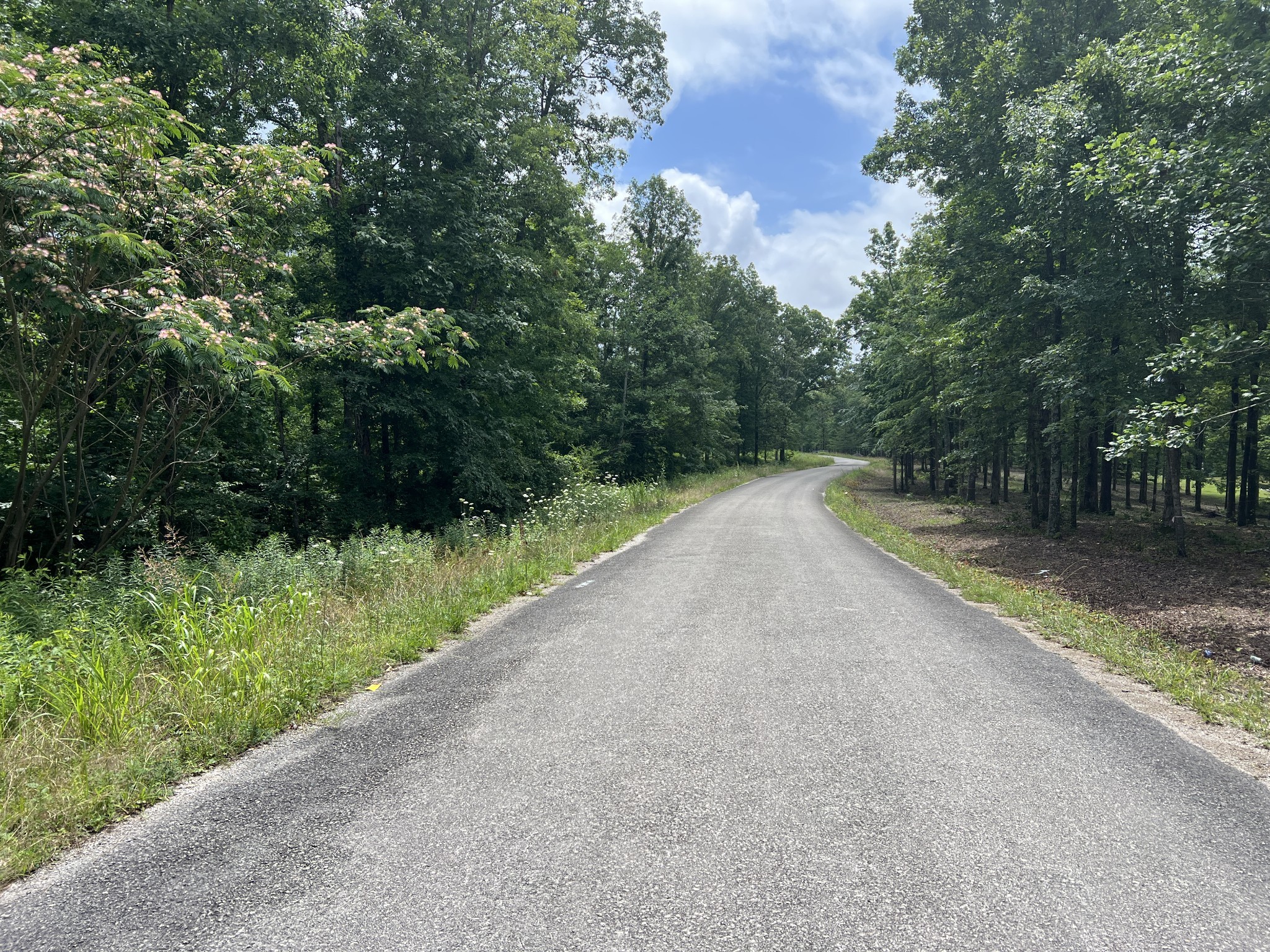 2 Slaughter Road Primm Springs, TN 38476 - Photo 2 of 7 Gallery Image 2