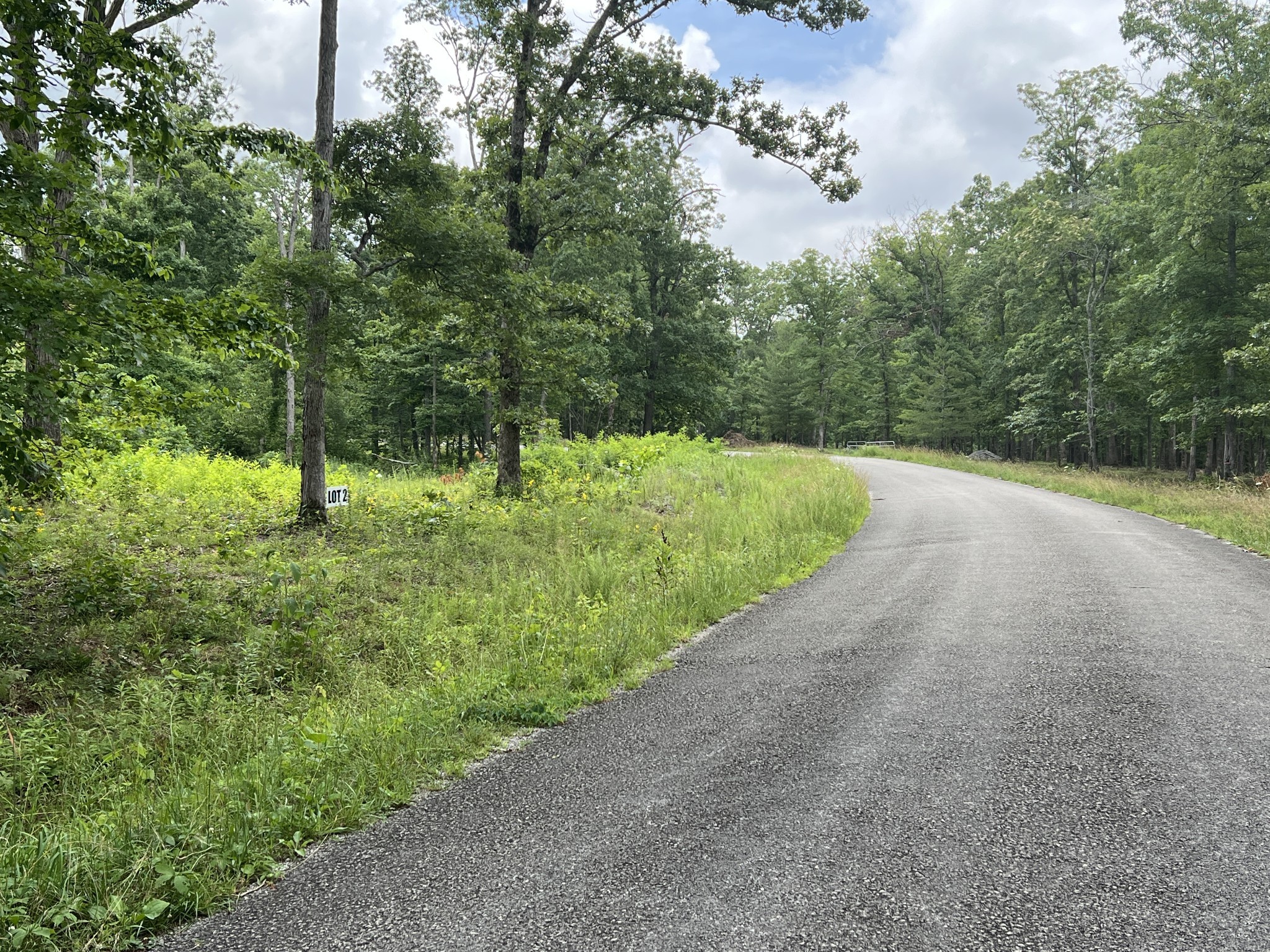 2 Slaughter Road Primm Springs, TN 38476 - Photo 3 of 7 Gallery Image 3