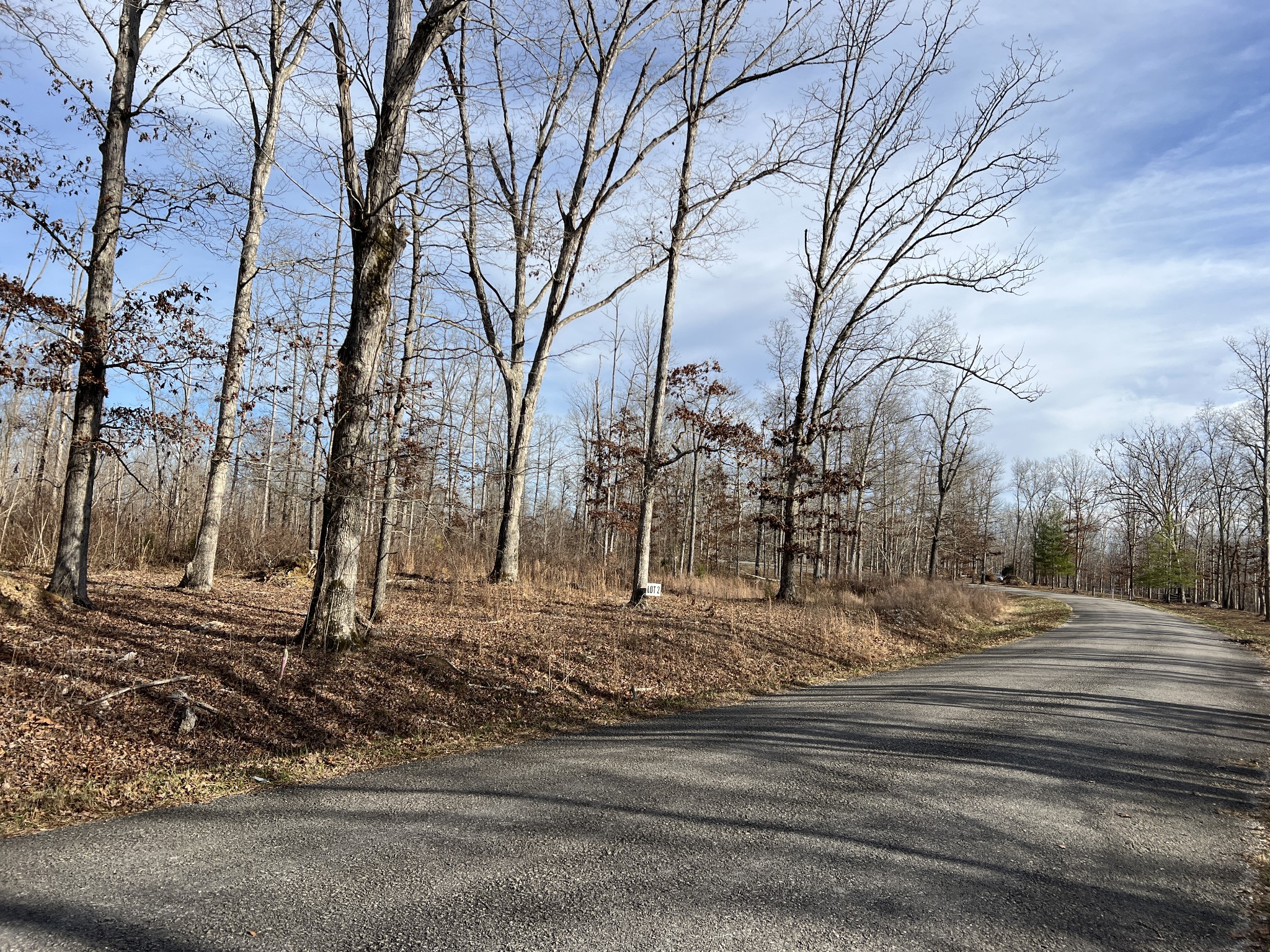 2 Slaughter Road Primm Springs, TN 38476 - Photo 6 of 7 Gallery Image 6