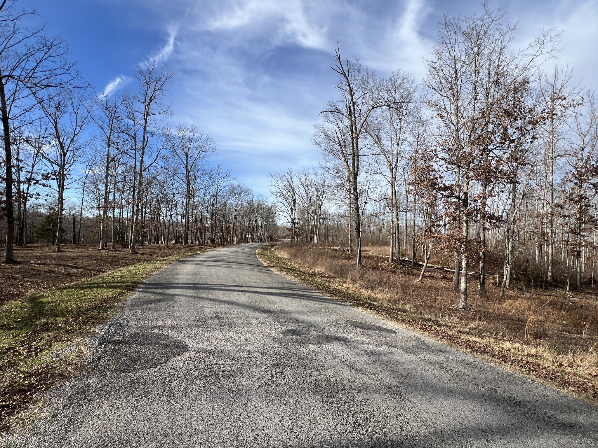 2 Slaughter Road Primm Springs, TN 38476 - Photo 7 of 7 Gallery Image 7