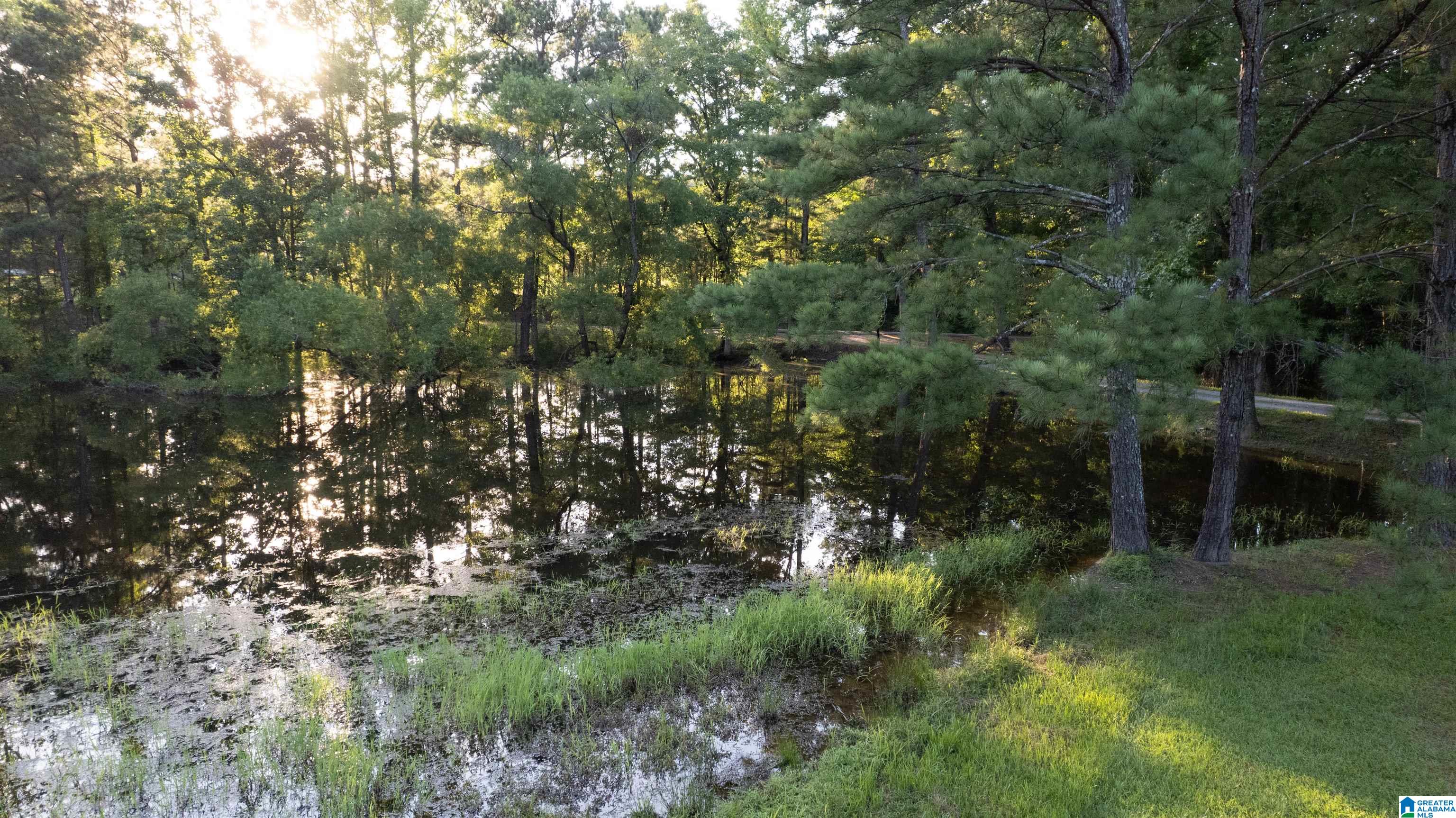 149 County Road 29 Oneonta, AL 35121 - Photo 7 of 25