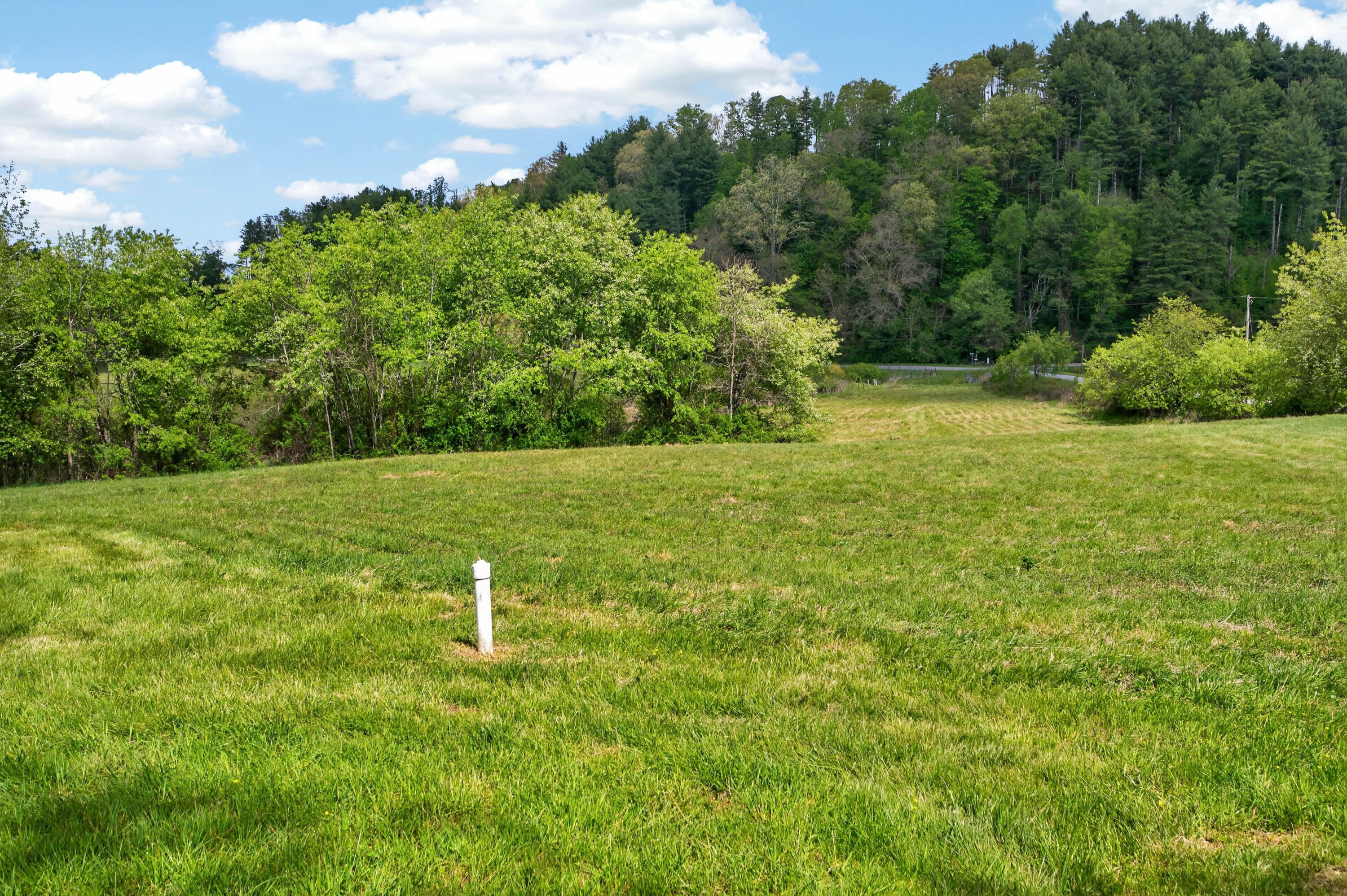 1866 Buffalo Mountain Road Southwest Willis, VA 24380 - Photo 16 of 45 willis-61