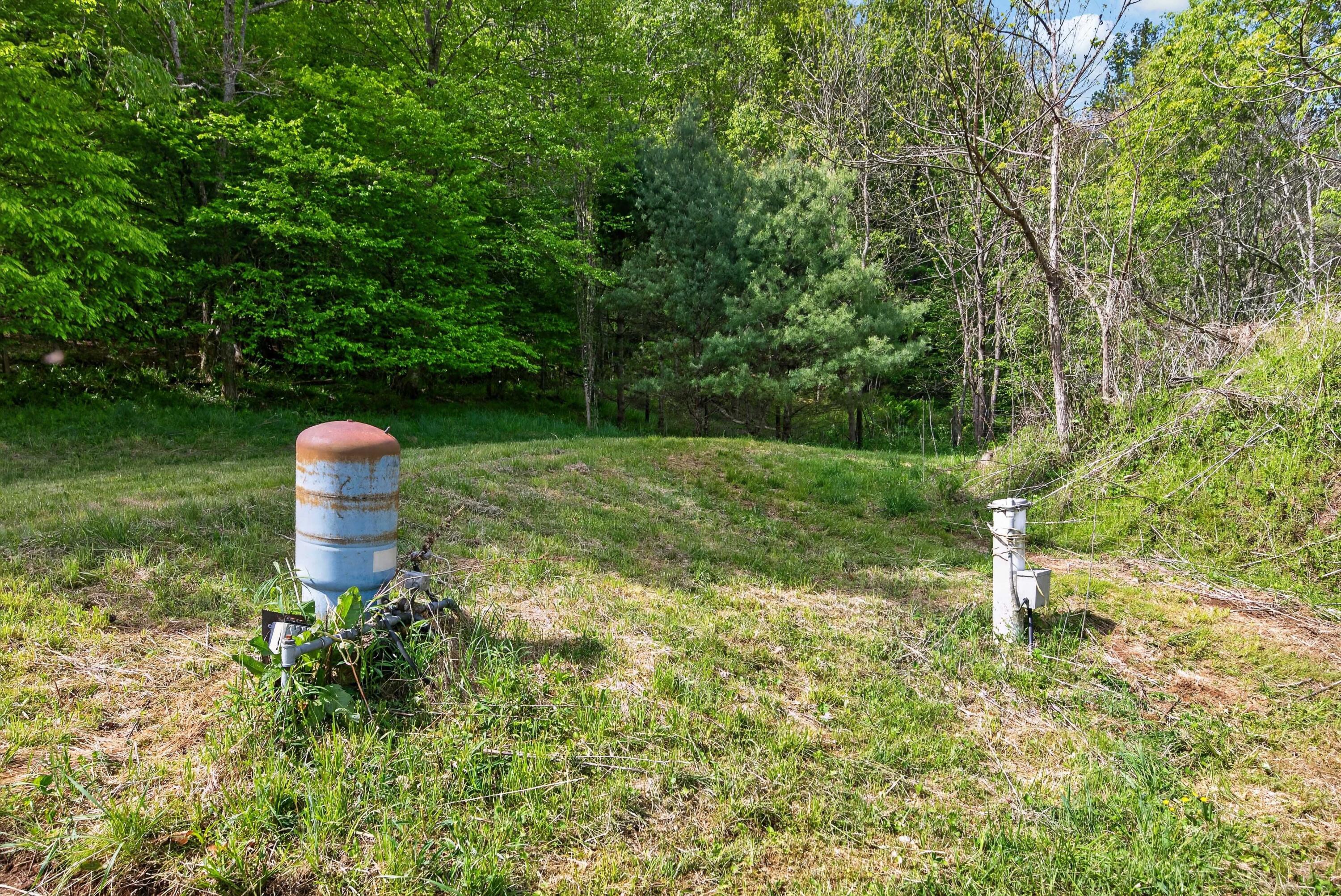1866 Buffalo Mountain Road Southwest Willis, VA 24380 - Photo 17 of 45 willis-35