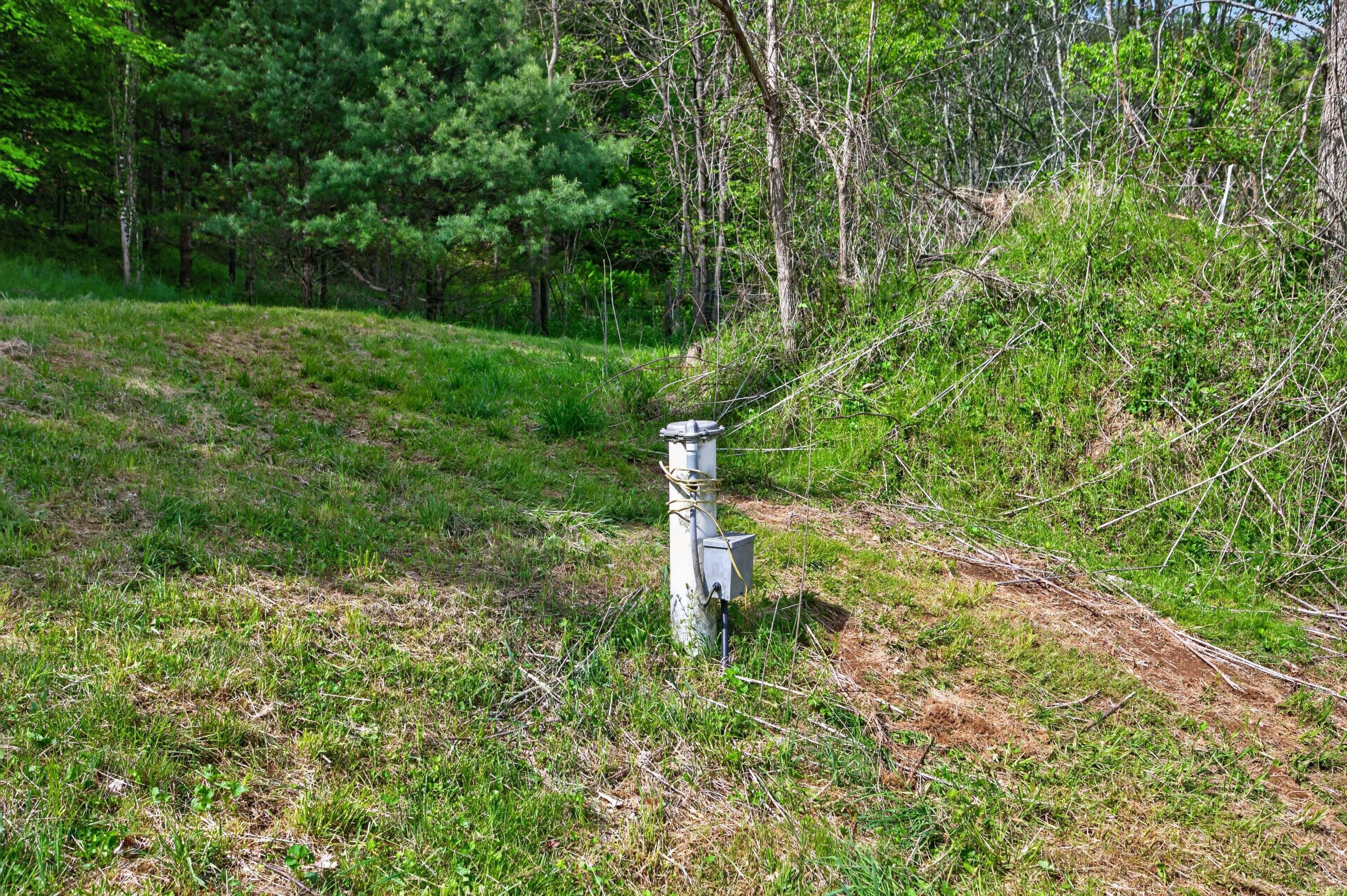 1866 Buffalo Mountain Road Southwest Willis, VA 24380 - Photo 18 of 45 willis-36