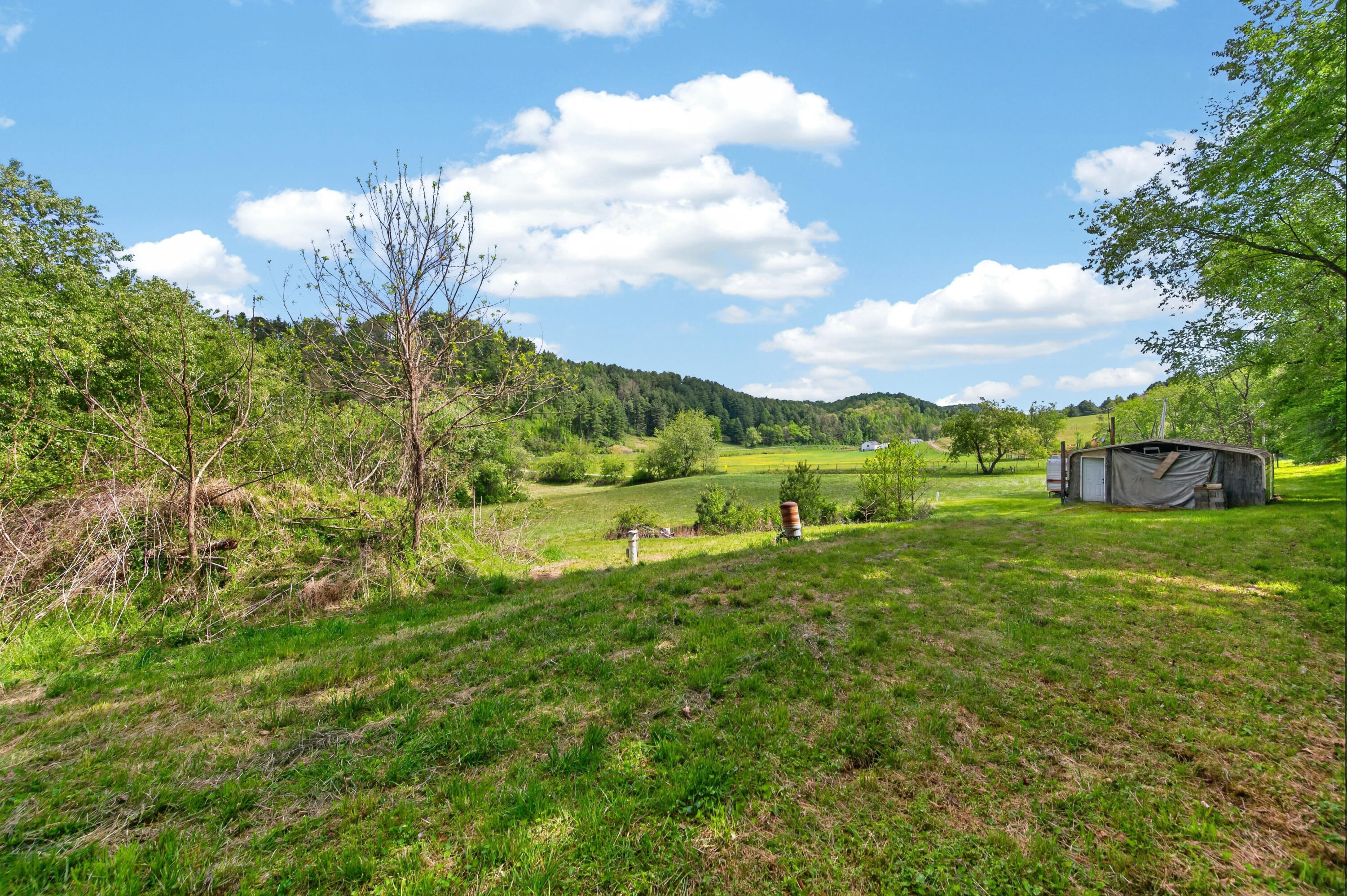 1866 Buffalo Mountain Road Southwest Willis, VA 24380 - Photo 19 of 45 willis-37