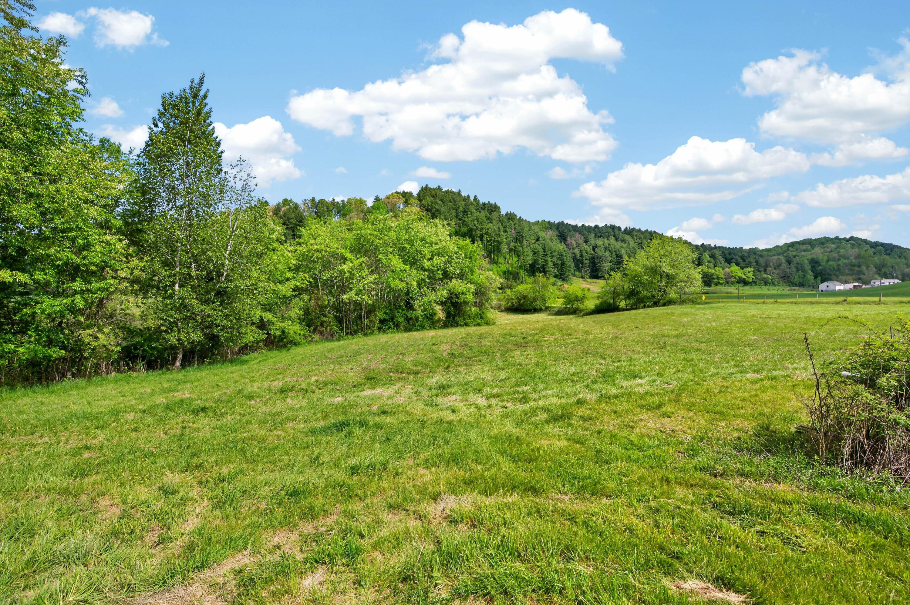 1866 Buffalo Mountain Road Southwest Willis, VA 24380 - Photo 20 of 45 willis-39