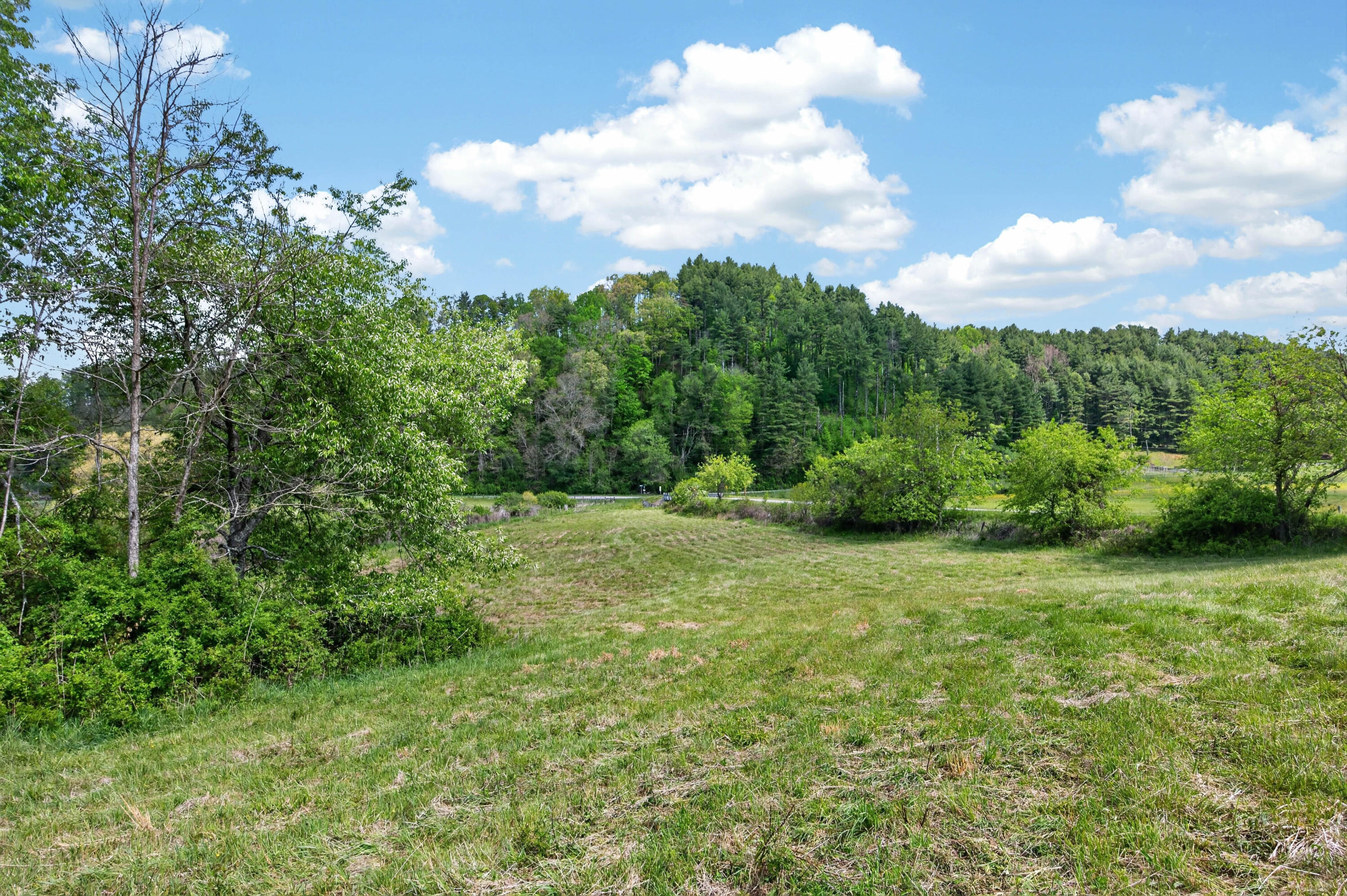 1866 Buffalo Mountain Road Southwest Willis, VA 24380 - Photo 23 of 45 willis-42