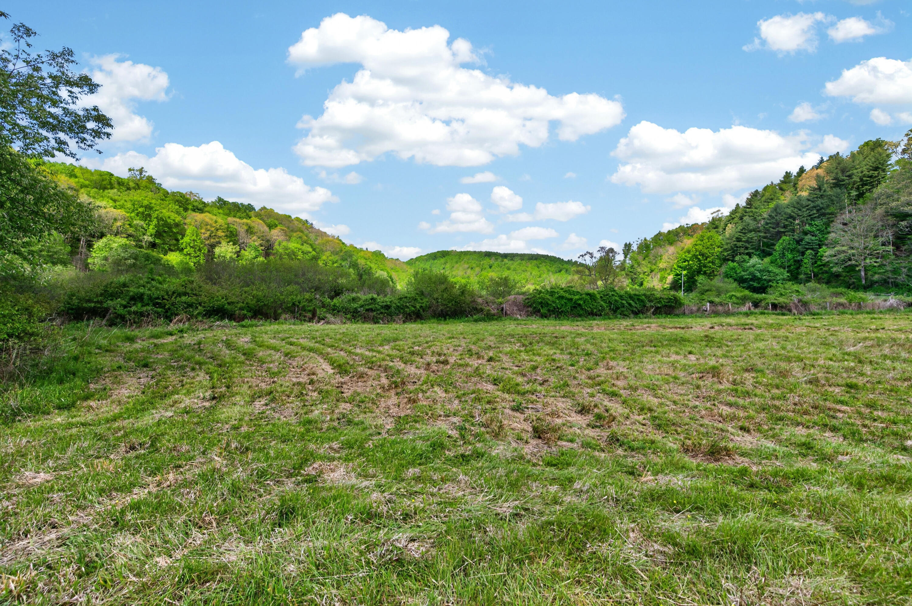 1866 Buffalo Mountain Road Southwest Willis, VA 24380 - Photo 25 of 45 willis-44