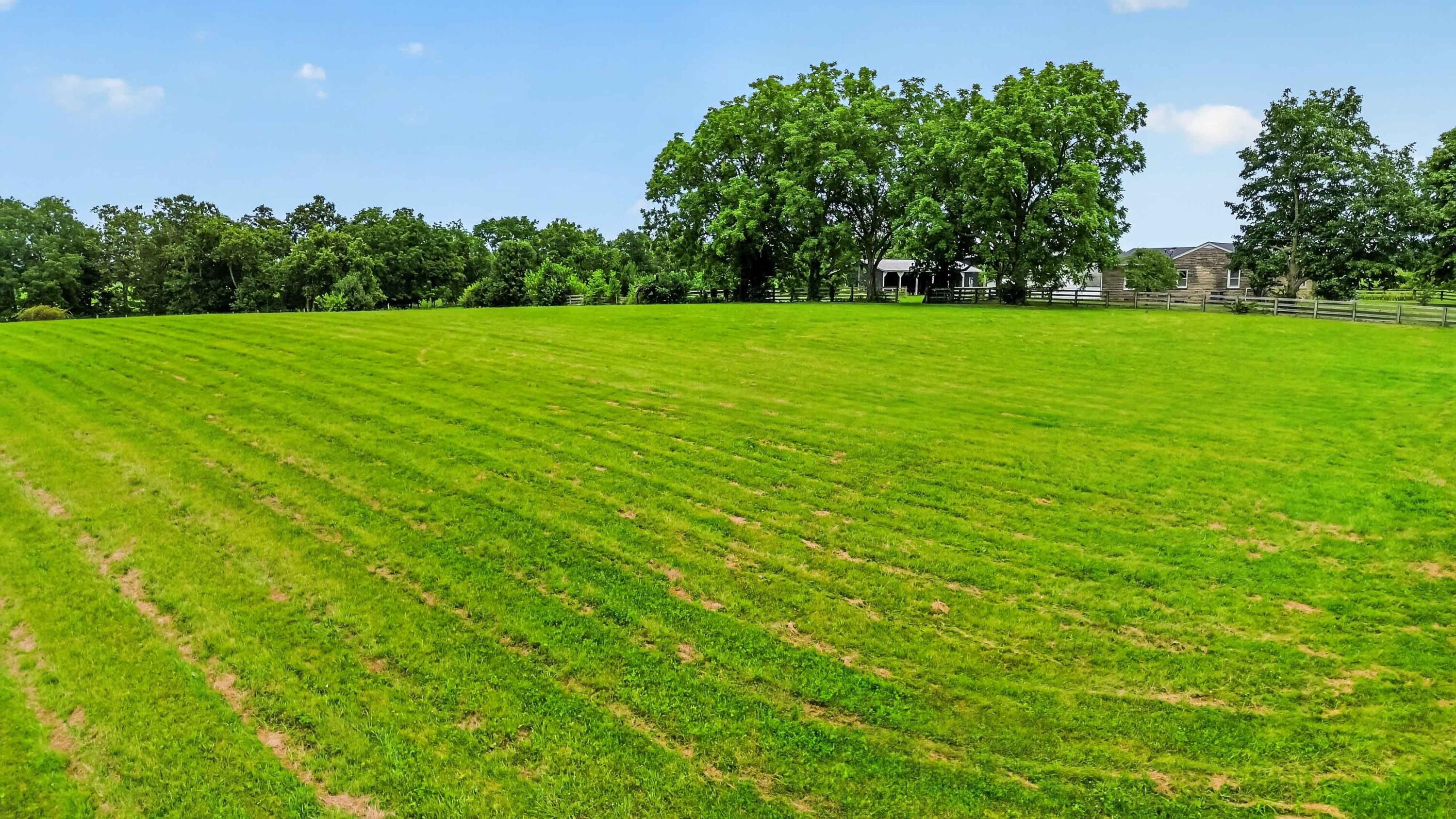 1730 Woods Road Versailles, KY 40383 - Photo 62 of 65 064