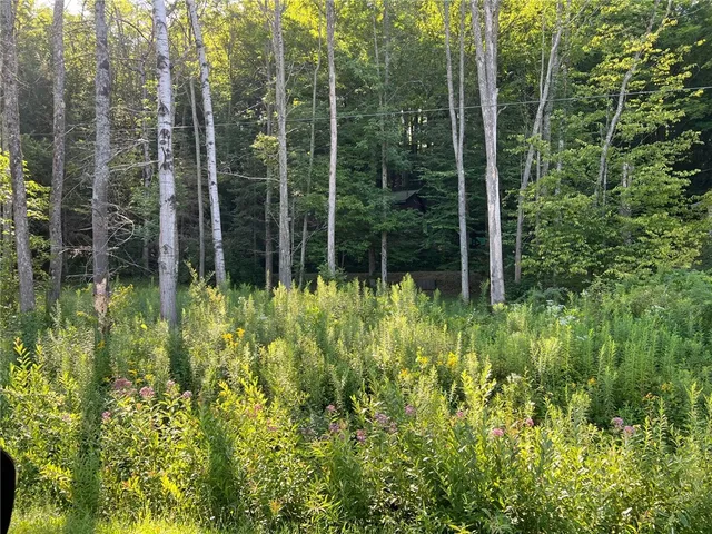 $79,900 | 9264 County Road 15B, Birdsall, NY 14822