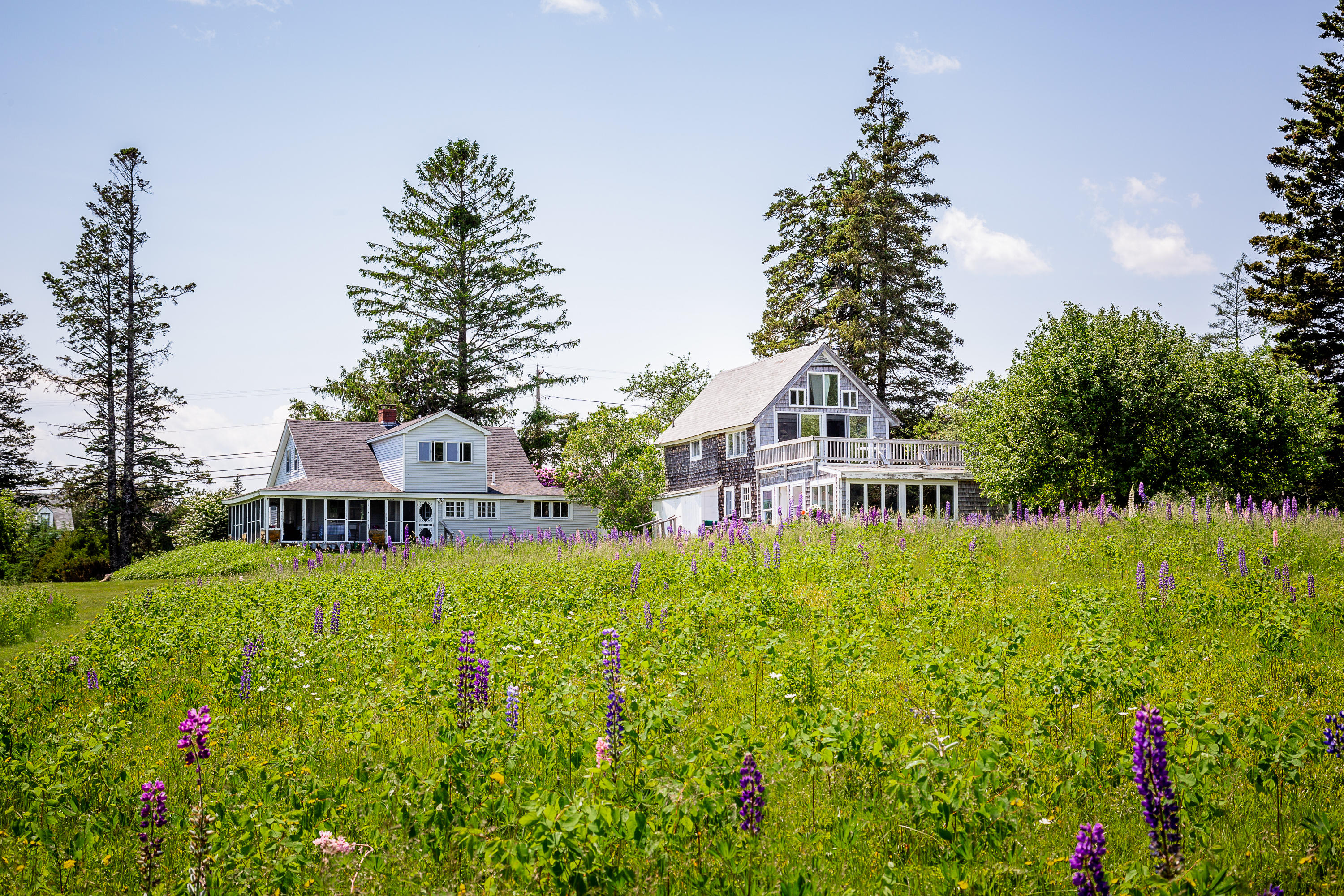 5 Hope Lane St. George, ME 04860 - Photo 4 of 41 5Hope_01_S_print