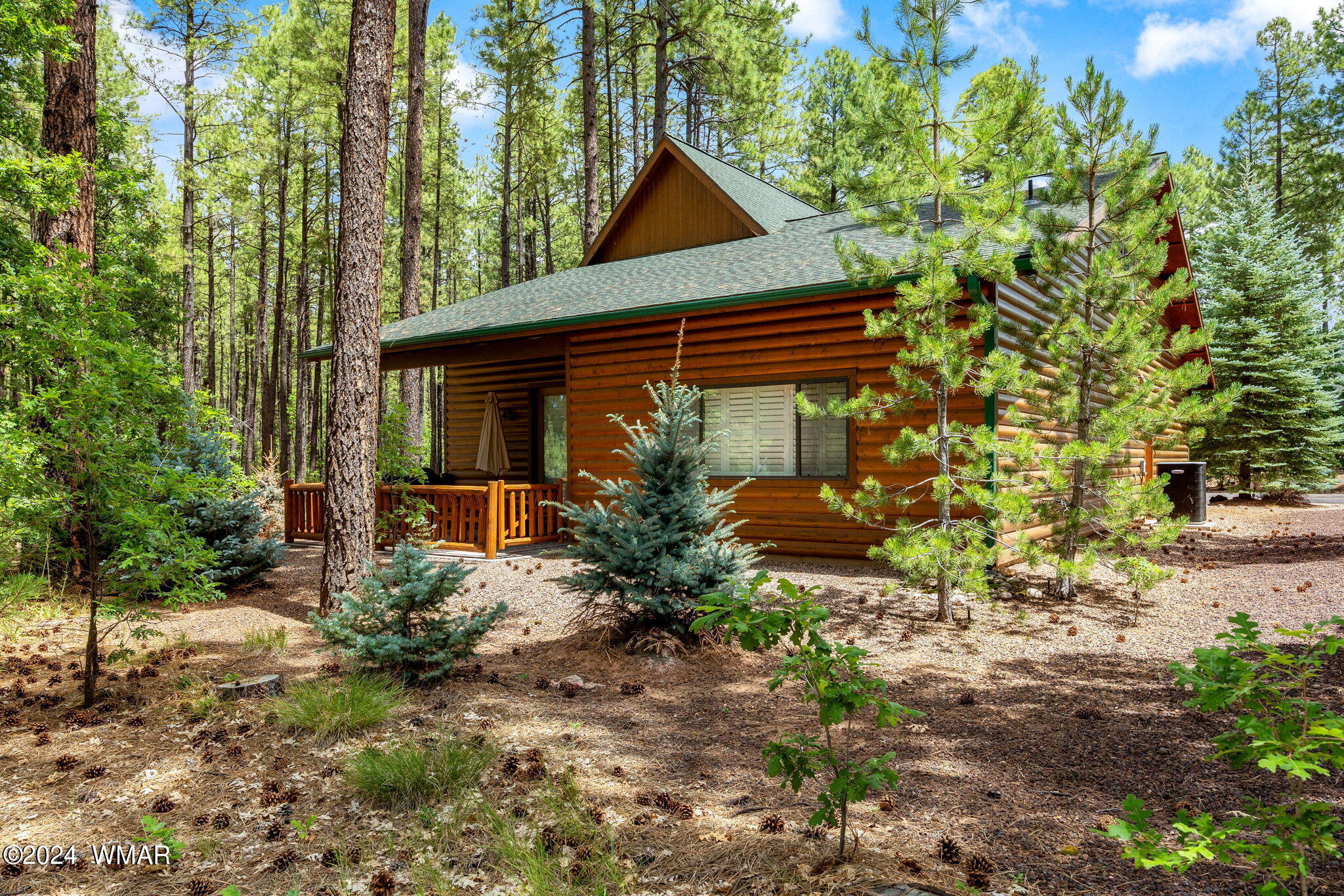 2864 Timber Line Road Pinetop, AZ 85935 - Photo 25 of 43 Back of Home