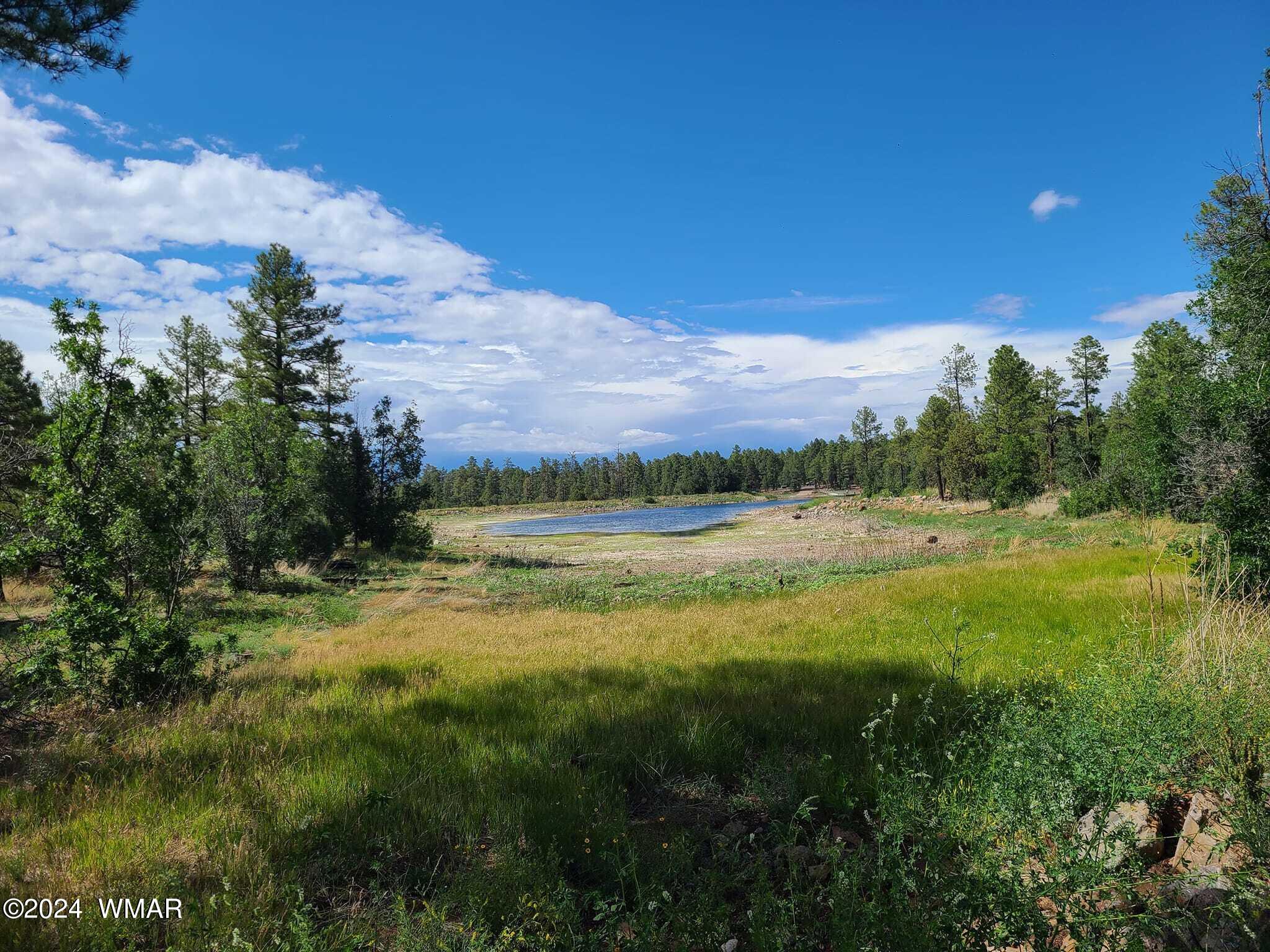 2864 Timber Line Road Pinetop, AZ 85935 - Photo 40 of 43 Woodland Lake