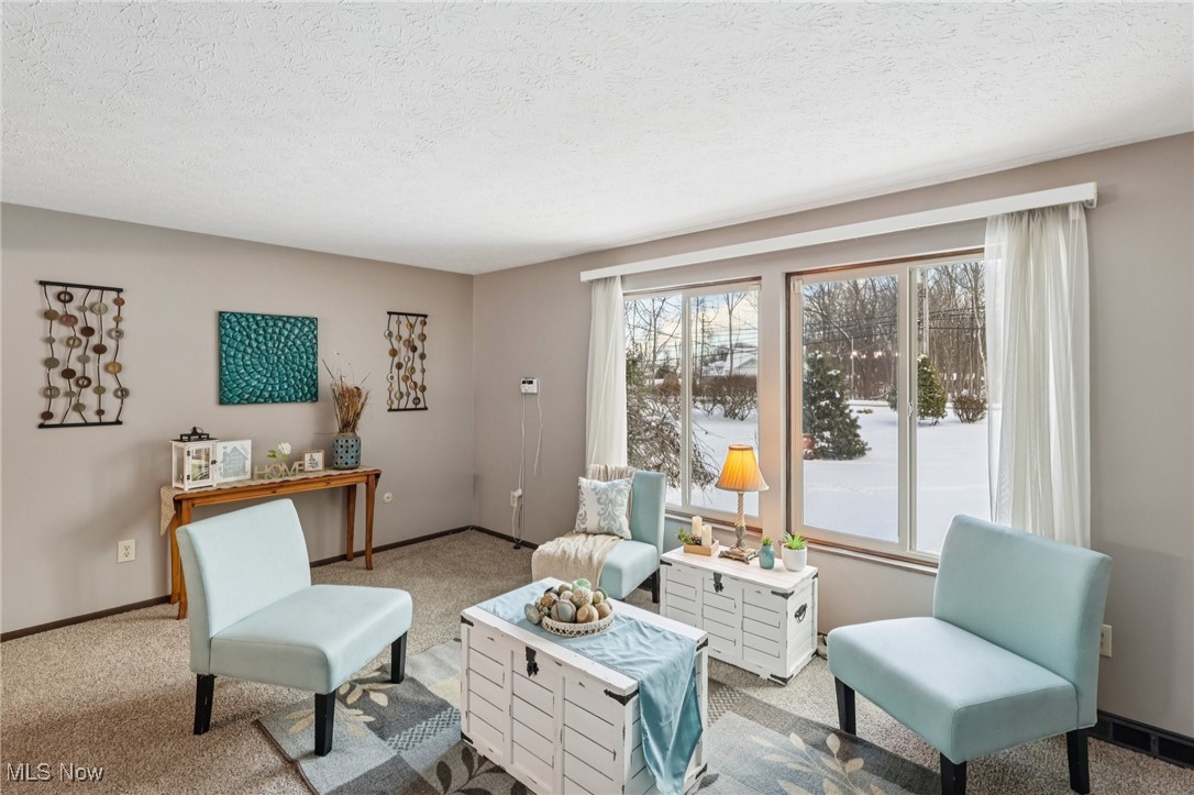 751 Bacon Road Painesville, OH 44077 - Photo 12 of 50 Sitting room featuring carpet and a textured ceiling