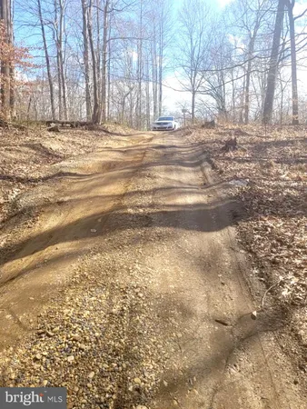 a view of back yard of the house