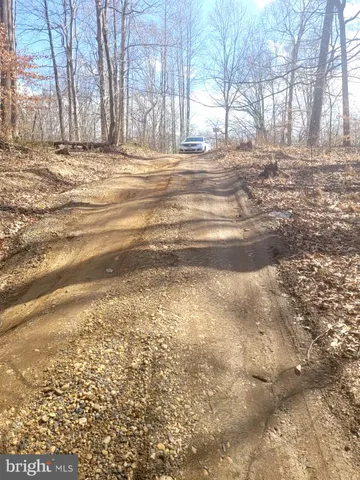 a view of back yard of the house