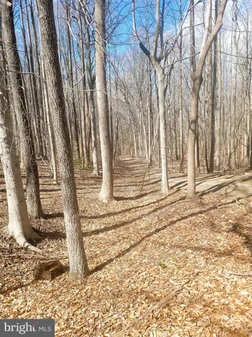 a view of a backyard of the house