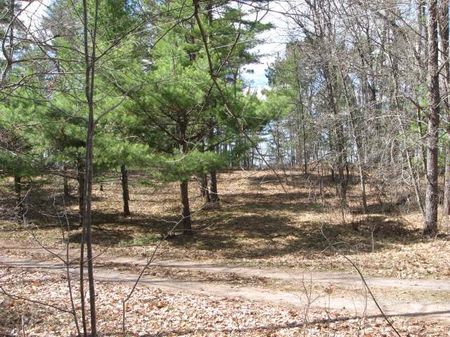 On On Point Lane Manitowish Waters, WI 54545 - Photo 5 of 16 Gallery Image 5