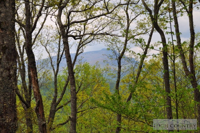 211 Old Bark Road Boone, NC 28607 - Photo 13 of 38 Gallery Image 13
