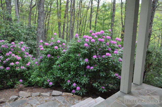 211 Old Bark Road Boone, NC 28607 - Photo 34 of 38 Gallery Image 34