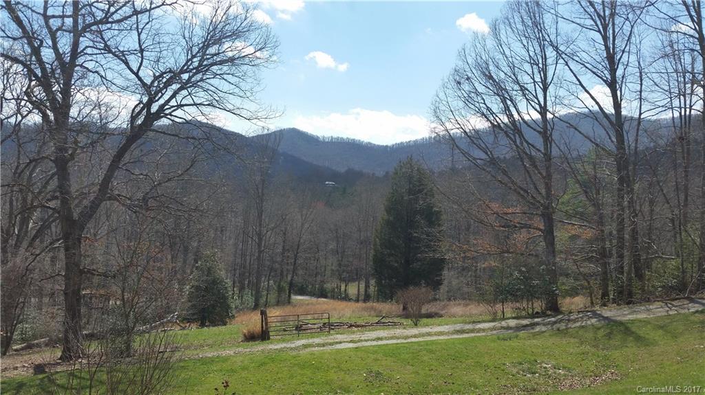 243 Sleepy Gap Road Arden, NC 28704 - Photo 2 of 11 Gallery Image 2