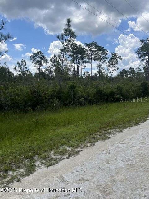 0 Ramsey Road Brooksville, FL 34614 - Photo 3 of 10 a view of a lake from a yard