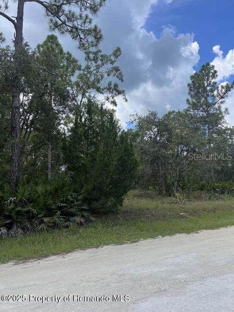 0 Ramsey Road Brooksville, FL 34614 - Photo 4 of 10