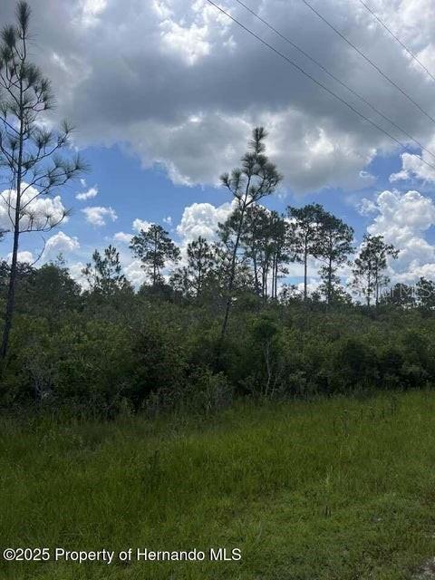 0 Ramsey Road Brooksville, FL 34614 - Photo 5 of 10 a view of a big yard