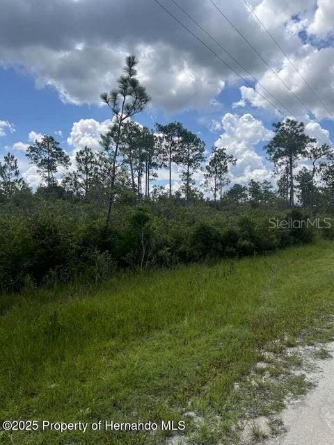 0 Ramsey Road Brooksville, FL 34614 - Photo 6 of 10 a view of a garden